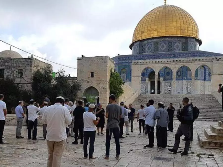 El Qods occupée Nouvelle incursion de colons sionistes dans la mosquée