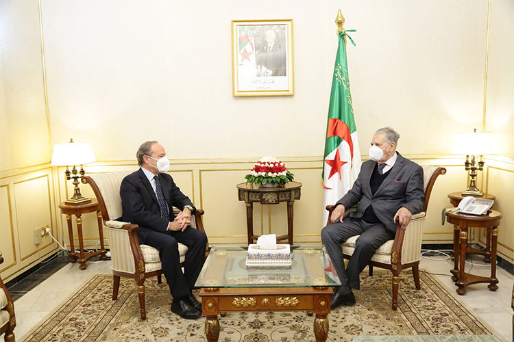 Three Assignments By New Italian Ambassador To Algeria Within A Week ...