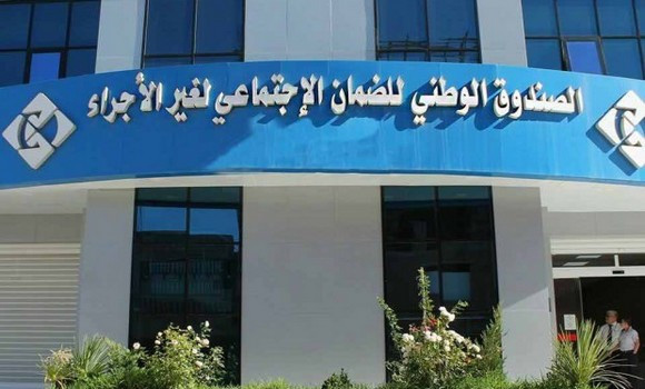 بيان هام لفائدة المتحصلين على بطاقة المقاول الذاتي – الشروق أونلاين